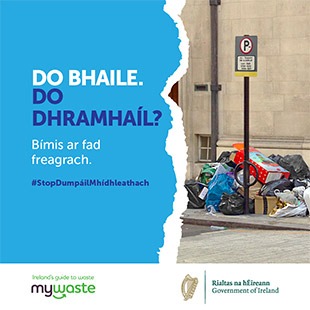 Gaeilge - ADI Campaign 2020 - Social Graphic - SOUTHERN 10