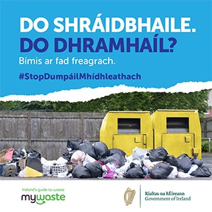 Gaeilge - ADI Campaign 2020 - Social Graphic - SOUTHERN 11