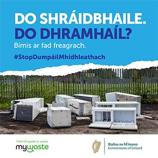 Gaeilge - ADI Campaign 2020 - Social Graphic - SOUTHERN 12
