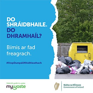 Gaeilge - ADI Campaign 2020 - Social Graphic - SOUTHERN 13