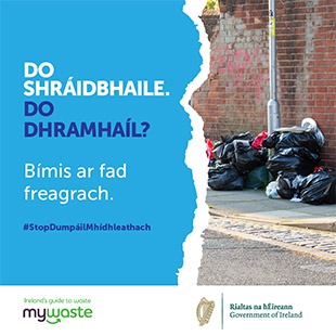 Gaeilge - ADI Campaign 2020 - Social Graphic - SOUTHERN 14