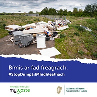 Gaeilge - ADI Campaign 2020 - Social Graphic - SOUTHERN 16