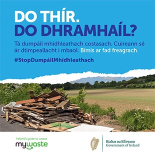 Gaeilge - ADI Campaign 2020 - Social Graphic - SOUTHERN 19