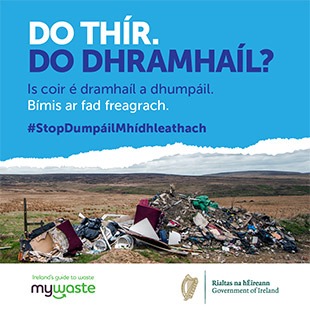 Gaeilge - ADI Campaign 2020 - Social Graphic - SOUTHERN 1