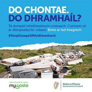 Gaeilge - ADI Campaign 2020 - Social Graphic - SOUTHERN 20