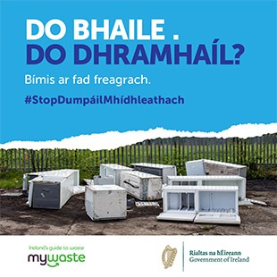 Gaeilge - ADI Campaign 2020 - Social Graphic - SOUTHERN 21