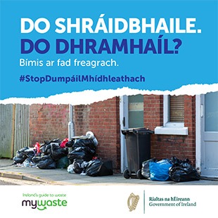 Gaeilge - ADI Campaign 2020 - Social Graphic - SOUTHERN 23