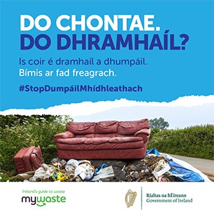 Gaeilge - ADI Campaign 2020 - Social Graphic - SOUTHERN 4