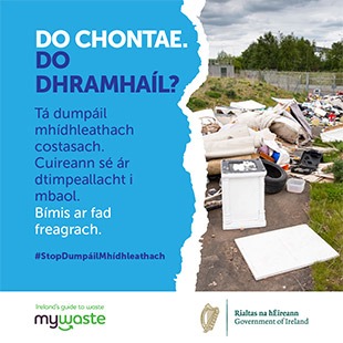 Gaeilge - ADI Campaign 2020 - Social Graphic - SOUTHERN 6
