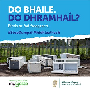 Gaeilge - ADI Campaign 2020 - Social Graphic - SOUTHERN 7