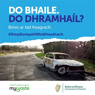 Gaeilge - ADI Campaign 2020 - Social Graphic - SOUTHERN 8