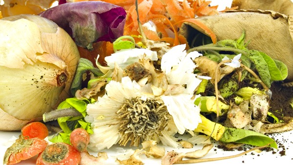 Separating food waste is a positive climate action